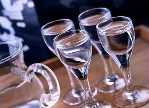 飲酒量如何計算？學會這些方法，快速評估你的酒量