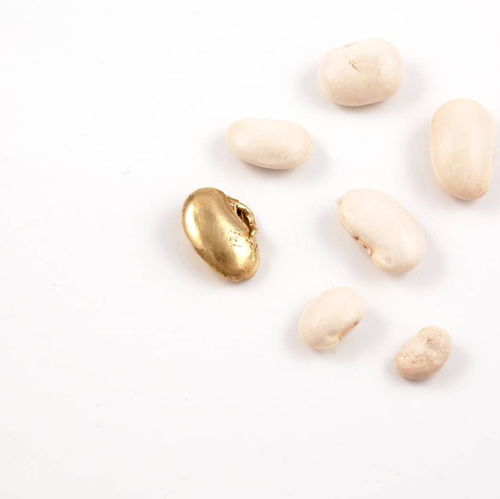 跨界藝術(shù)之旅 RCA珠寶創(chuàng)意思維暑期課程，釋放你的設(shè)計(jì)潛能