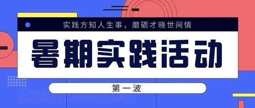 實事求是 經(jīng)濟學院暑期社會實踐風采展（二）——社會經(jīng)濟咨詢服務(wù)